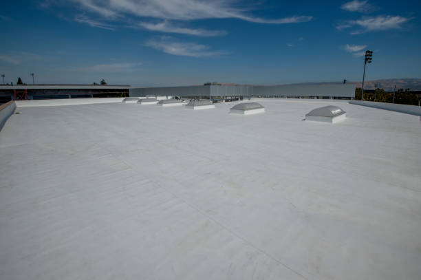Best Skylight Installation and Repair  in Delavan, IL