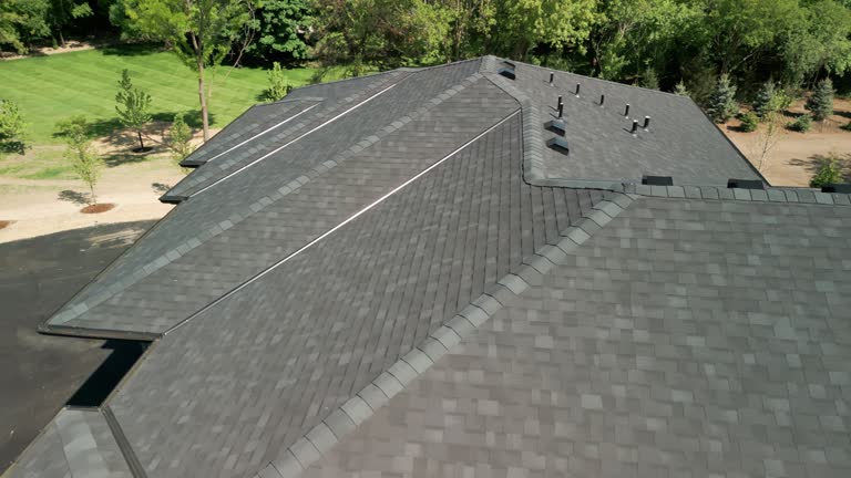Best Green or Eco-Friendly Roofing Solutions  in Delavan, IL