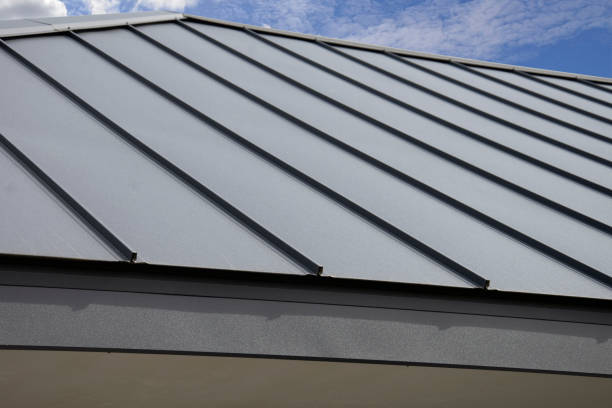 Best Rubber Roofing (EPDM, TPO)  in Delavan, IL